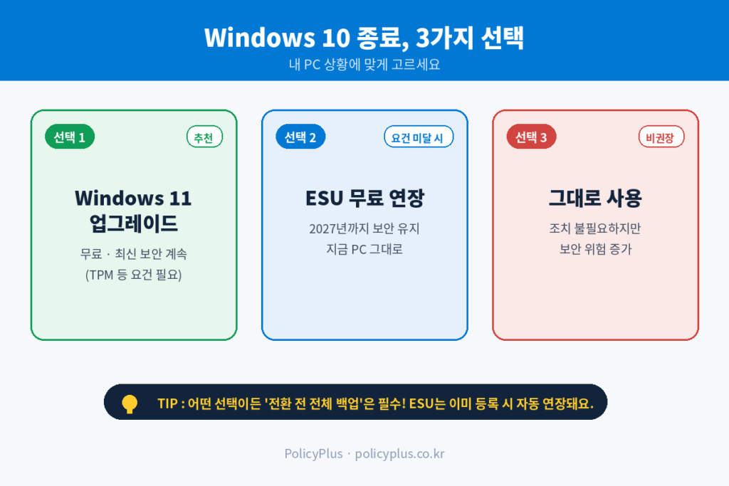 세 가지 선택지 인포그래픽